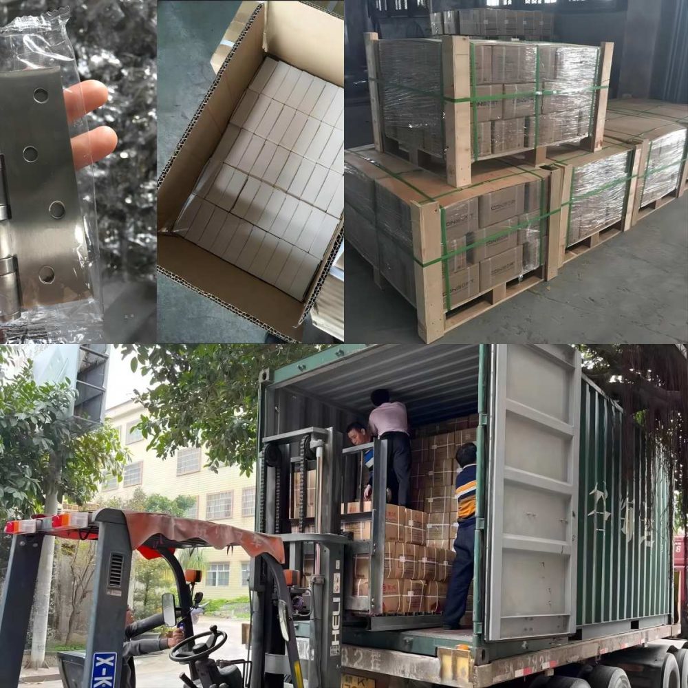 Factory Customized Steel Zinc Plated Galvanising Stainless Steel (5)